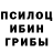 Псилоцибиновые грибы мухоморы Wiwik Halifah
