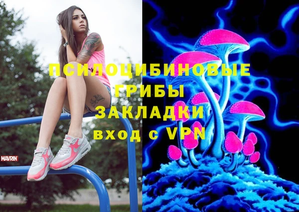 прущая мука Гусь-Хрустальный