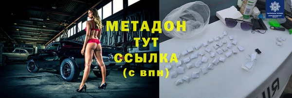 прущие грибы Гусиноозёрск