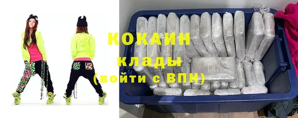 прущие грибы Гусиноозёрск
