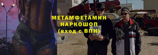 прущие грибы Ступино