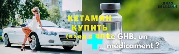 прущие грибы Гусиноозёрск