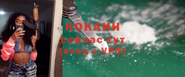 прущие грибы Гусиноозёрск