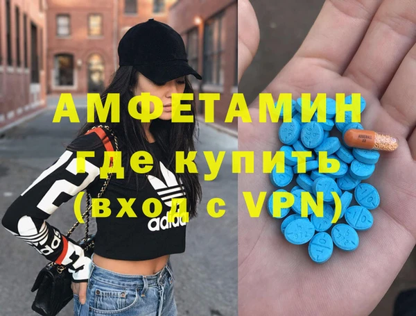 прущие грибы Гусиноозёрск