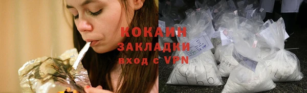 прущие грибы Гусиноозёрск