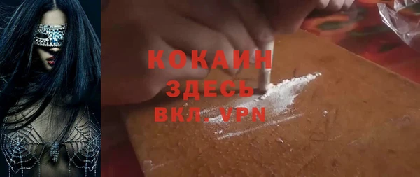 прущие грибы Гусиноозёрск