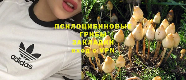 прущая мука Гусь-Хрустальный