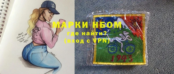 прущие грибы Гусиноозёрск