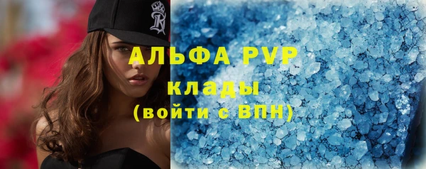 прущие грибы Гусиноозёрск