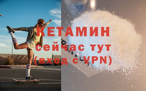 прущие грибы Гусиноозёрск