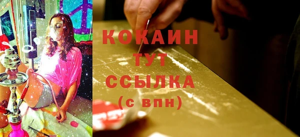 прущие грибы Гусиноозёрск