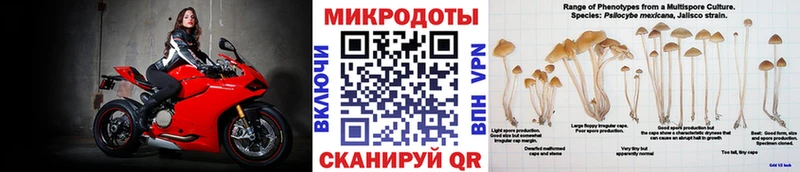 Псилоцибиновые грибы Cubensis  Нарьян-Мар 